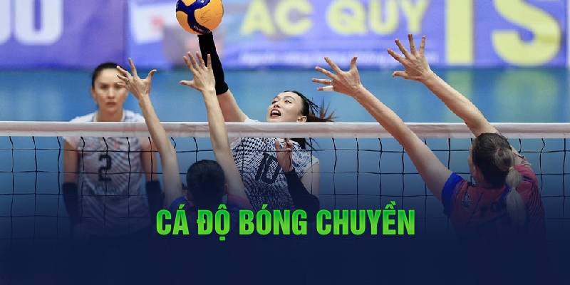 Cá độ bóng chuyền