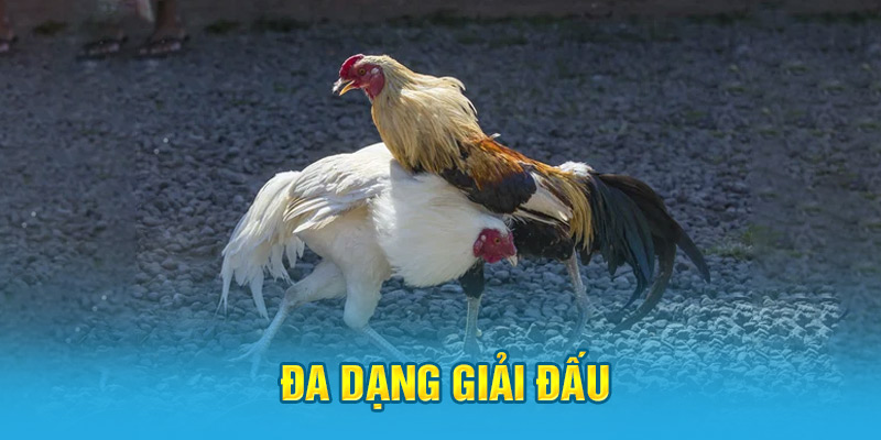 Đa dạng giải đấu