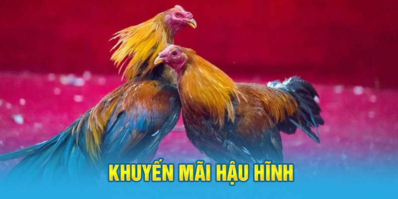 Khuyến mãi hậu hĩnh